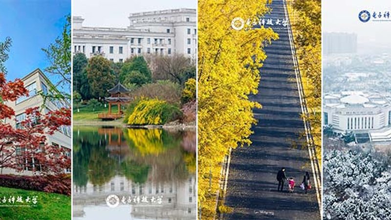 电路板定制打样与量产：揭秘背后的工艺差异与质量保障
